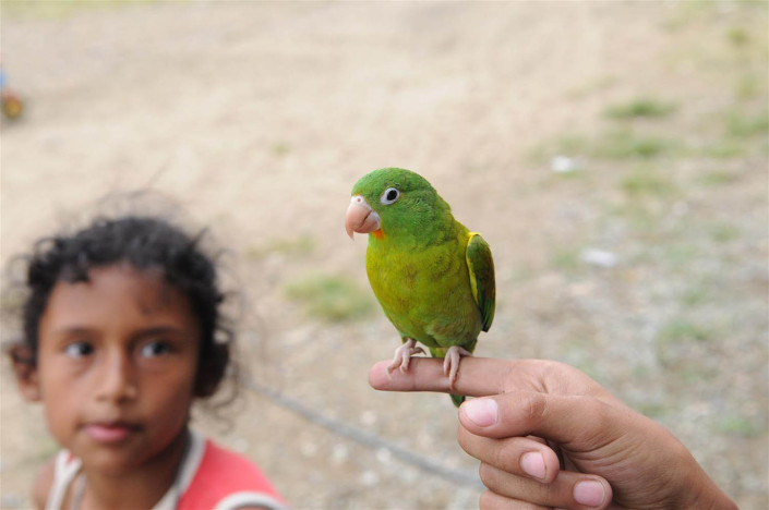 A girl looks at a bird perched on a child's finger, near homes built on a toxic landfill in Medellin, Colombia.