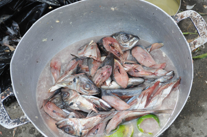 A bucket of fish in Haiti.