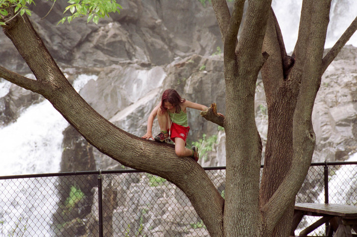 A girl climbs a tree in Westchester County, New York.