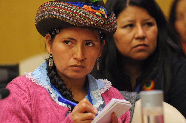An indigenous activist participates in a meeting during the Commission on the Status of Women, CSW59